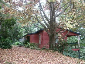 Turkeys Nest Rainforest Cottages Mt Glorious - Australia Accommodation 1