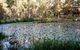 Mount Cotton Guesthouse - thumb 0