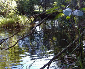 Mary Anns Cottage - Australia Accommodation 1