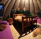 Aranyani Bison Adventure Tourist Park - Australia Accommodation