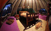 Aranyani Bison Adventure Tourist Park - Australia Accommodation 0
