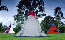 Aranyani Bison Adventure Tourist Park - Australia Accommodation 1