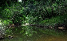 Aranyani Bison Adventure Tourist Park - Australia Accommodation 3