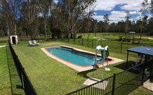 Aranyani Bison Adventure Tourist Park - Australia Accommodation 4