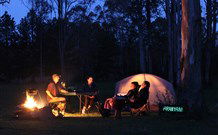 Aranyani Bison Adventure Tourist Park - Australia Accommodation 2