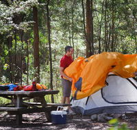 Bald Rock campground and picnic area - Australia Accommodation