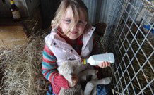 Barcoos Farmstays Bathurst - Australia Accommodation 0