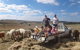 Barcoos Farmstays Bathurst - thumb 1