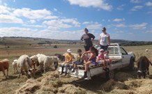 Barcoos Farmstays Bathurst - Australia Accommodation 1