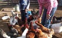 Barcoos Farmstays Bathurst - Australia Accommodation 5