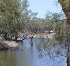 Beds on the Barwon - Australia Accommodation