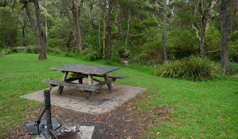Chaelundi Campground - Australia Accommodation 0