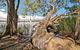 Dees Corner Campground - thumb 1