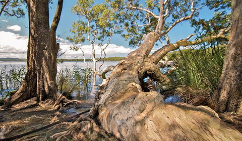 Dees Corner Campground - Australia Accommodation 1