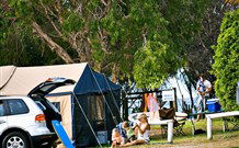 Fingal Holiday Park - Australia Accommodation 1
