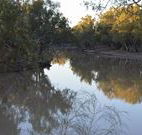 Four Mile Camping Reserve - Australia Accommodation
