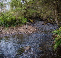 Horse Swamp campground - Australia Accommodation