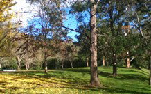 Knorrit Flat Riverside Retreat - Australia Accommodation 3