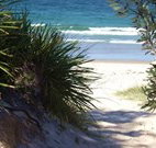 Myola Tourist Resort Caravan Park - Australia Accommodation