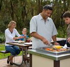 Port Stephens Treescape - Australia Accommodation