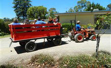 Rivergum Holiday Retreat - Australia Accommodation 2