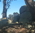 Warreen Farmstay Rural Accommodation - Australia Accommodation