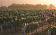 Hunter Valley Resort - thumb 6