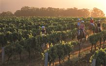 Hunter Valley Resort - Australia Accommodation 6