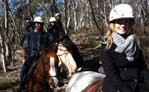 JE Resort (Jindabyne Equestrian Resort) - Australia Accommodation 1