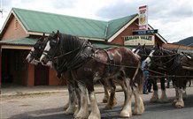 Araluen NSW Australia Accommodation