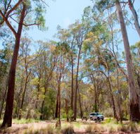 Coolah Tops National Park Camping - Australia Accommodation