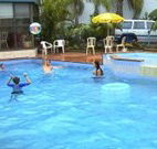Golden Chain Palm Court Motor Inn - Port Macquarie - Australia Accommodation
