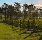 H Boutique Hotel - Pokolbin - Australia Accommodation