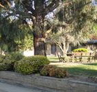 Hamilton Hume Motor Inn - Yass - Australia Accommodation