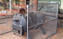 Lightning Ridge Outback Resort And Caravan Park - Lightning Ridge - Australia Accommodation 7