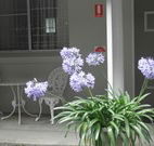 Pine Lodge Motel - Woolgoolga - Australia Accommodation