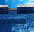 Sportsman Inn Motel - Wentworth - Australia Accommodation