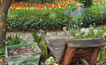 Bungendore NSW Australia Accommodation