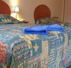 Yamba Twin Pines Motel - Yamba - Australia Accommodation