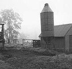 Ashmar Farm Stay - Australia Accommodation