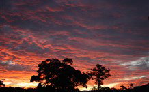 Banksia Park Cottages - Australia Accommodation 3