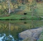 Barkeldine Farm Country Retreat - Australia Accommodation