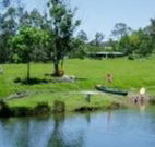 Bellingen Farmstay - Australia Accommodation