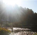 Blair Athol Estate - Australia Accommodation
