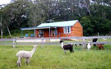 Wondalga ACT Australia Accommodation