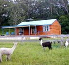 Moorallie Cottage Farm Stay - Australia Accommodation