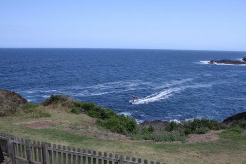 Sea Whispers Bed & Breakfast - Australia Accommodation 8