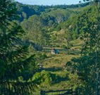 Yarralong BnB and Farm Stay - Australia Accommodation