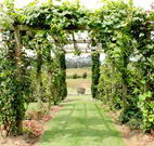All Saints Bed and Breakfast - Australia Accommodation