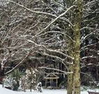 Bethany Manor Bed and Breakfast - Australia Accommodation